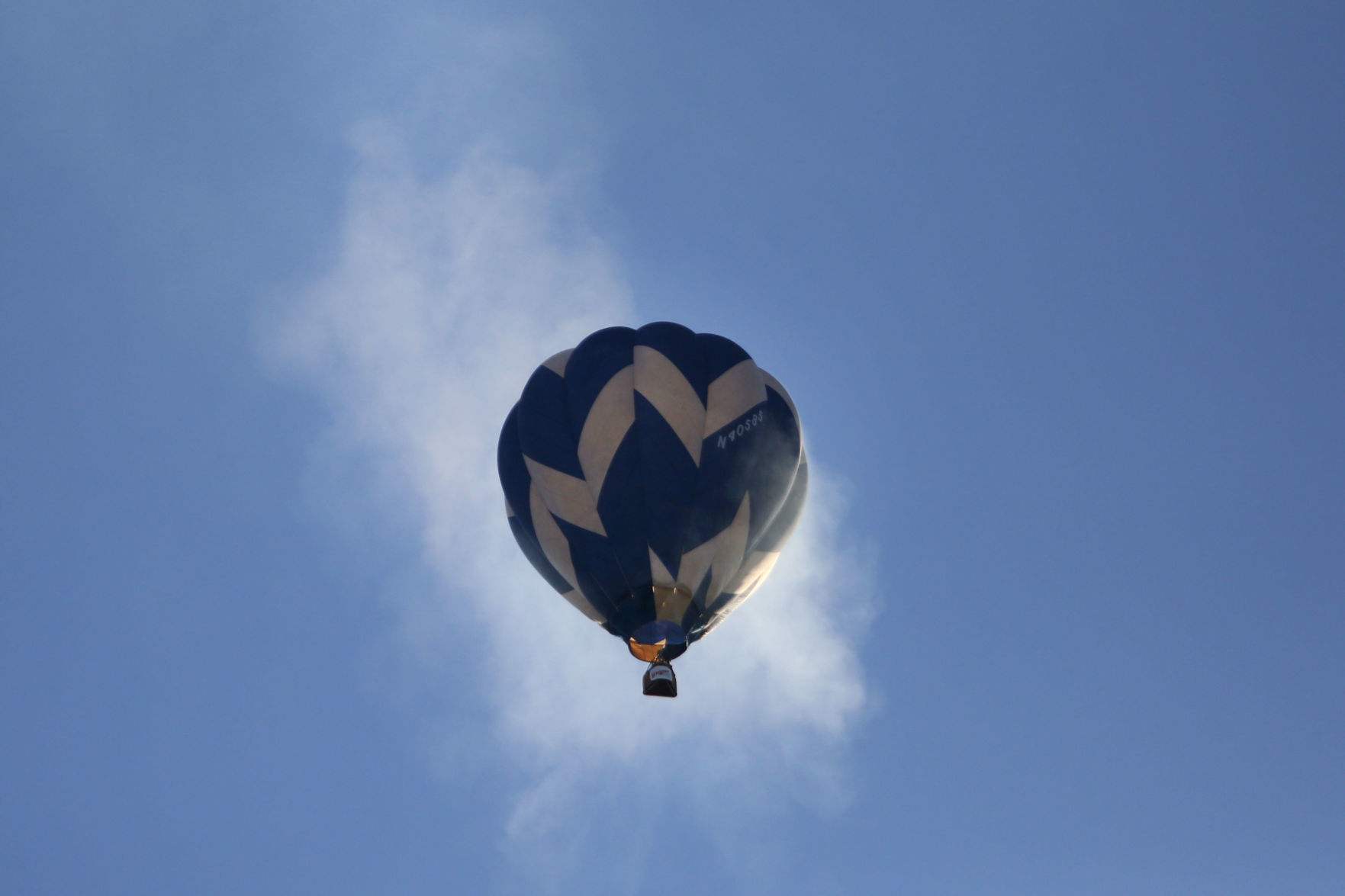 Balloon Roundup